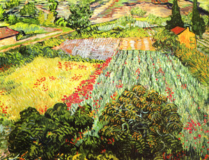 Blooming Field